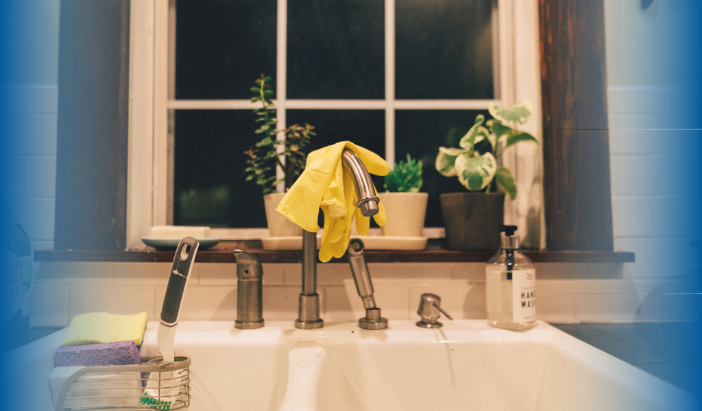 Germ Infested Places at House