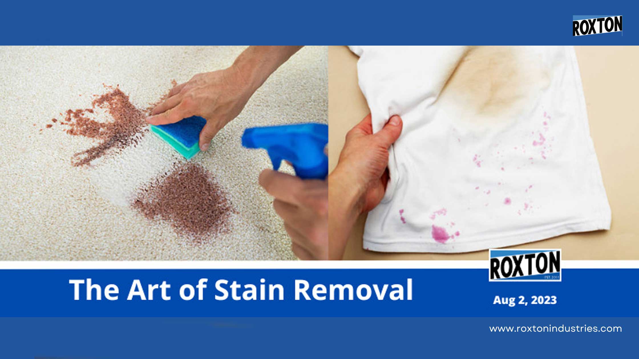 The Art of Stain Removal