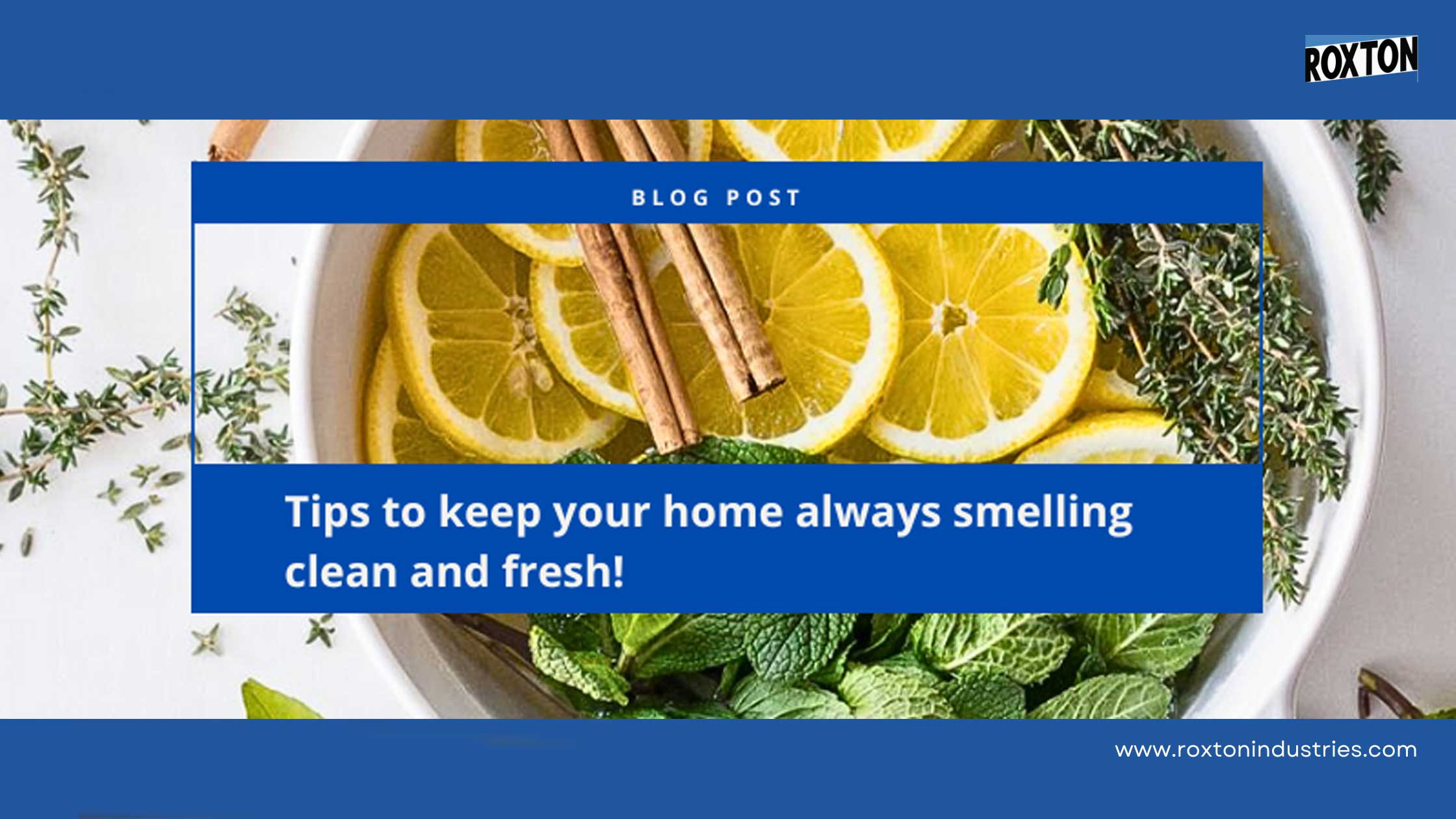 Revolutionary Tips For A Clean & Fresh Smelling Home!